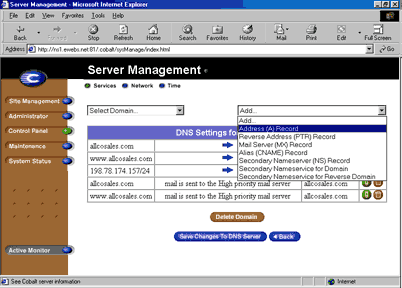 DNS record form: domain name and IP address fields with Automatic Reverse Address Record Generation checked